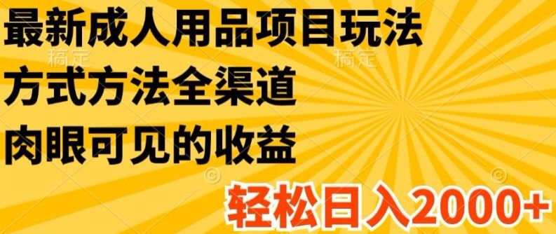 最新成人用品项目玩法，方式方法全渠道，轻松日入2K+【揭秘】-优杰学社