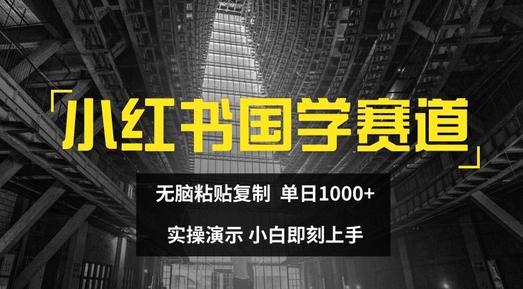 小红书国学赛道，无脑粘贴复制，单日1K，实操演示，小白即刻上手【揭秘】-优杰学社