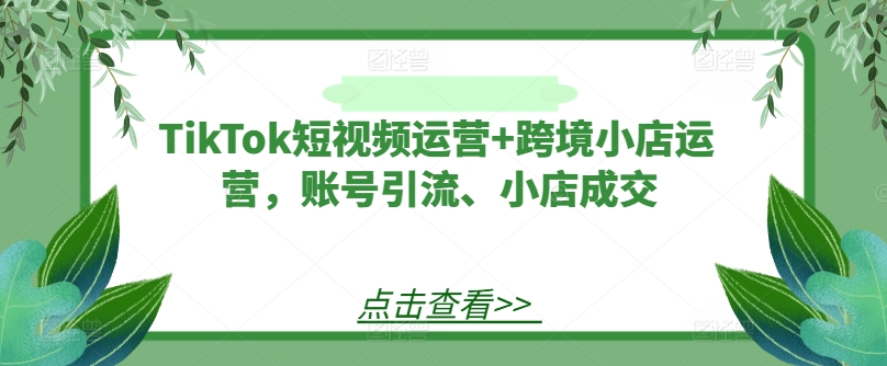 TikTok短视频运营+跨境小店运营，账号引流、小店成交-优杰学社