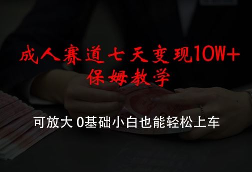 成人赛道七天变现10W+保姆教学，可放大，0基础小白也能轻松上车【揭秘】-优杰学社