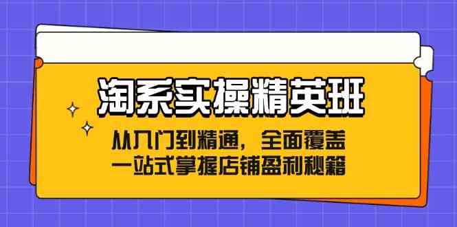 淘系实操精英班：从入门到精通，全面覆盖，一站式掌握店铺盈利秘籍-优杰学社