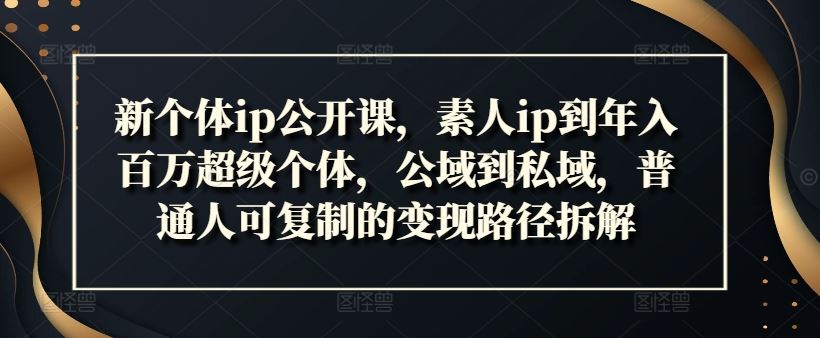 新个体ip公开课，素人ip到年入百万超级个体，公域到私域，普通人可复制的变现路径拆解-优杰学社