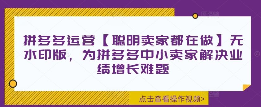 拼多多运营【聪明卖家都在做】无水印版，为拼多多中小卖家解决业绩增长难题-优杰学社