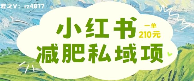 小红书减肥粉，私域变现项目，一单就达210元，小白也能轻松上手【揭秘】-优杰学社