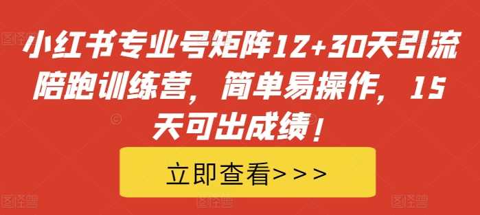 小红书专业号矩阵12+30天引流陪跑训练营，简单易操作，15天可出成绩!-优杰学社