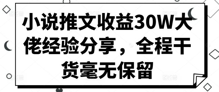 小说推文收益30W大佬经验分享，全程干货毫无保留-优杰学社