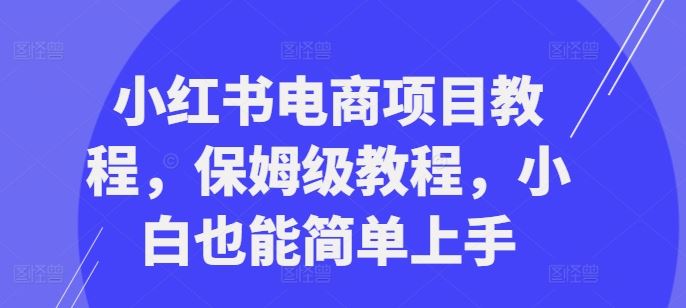 小红书电商项目教程，保姆级教程，小白也能简单上手-优杰学社