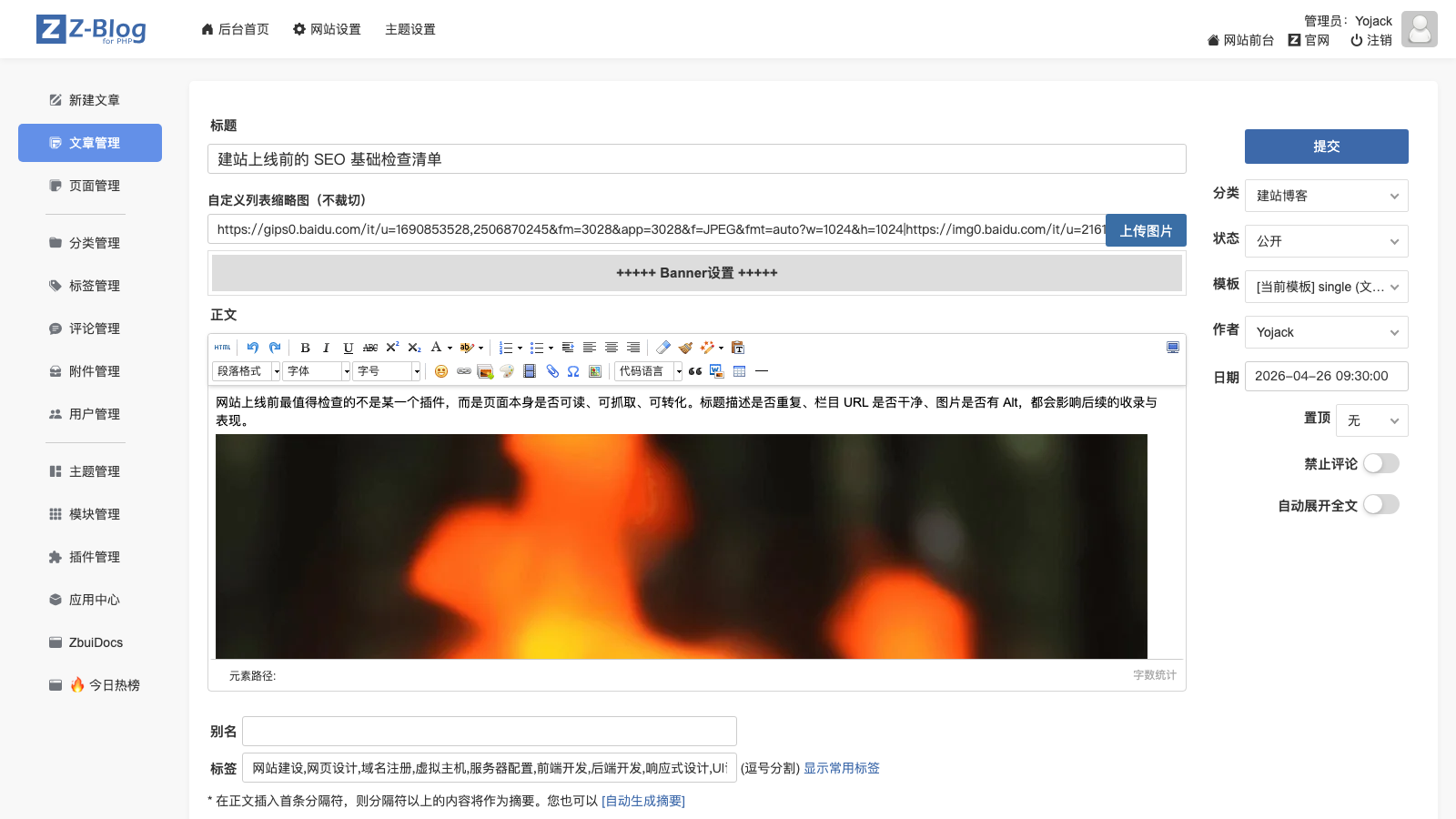 Metas、自定义字段和后台扩展怎么做？别把全局配置和文章字段混了